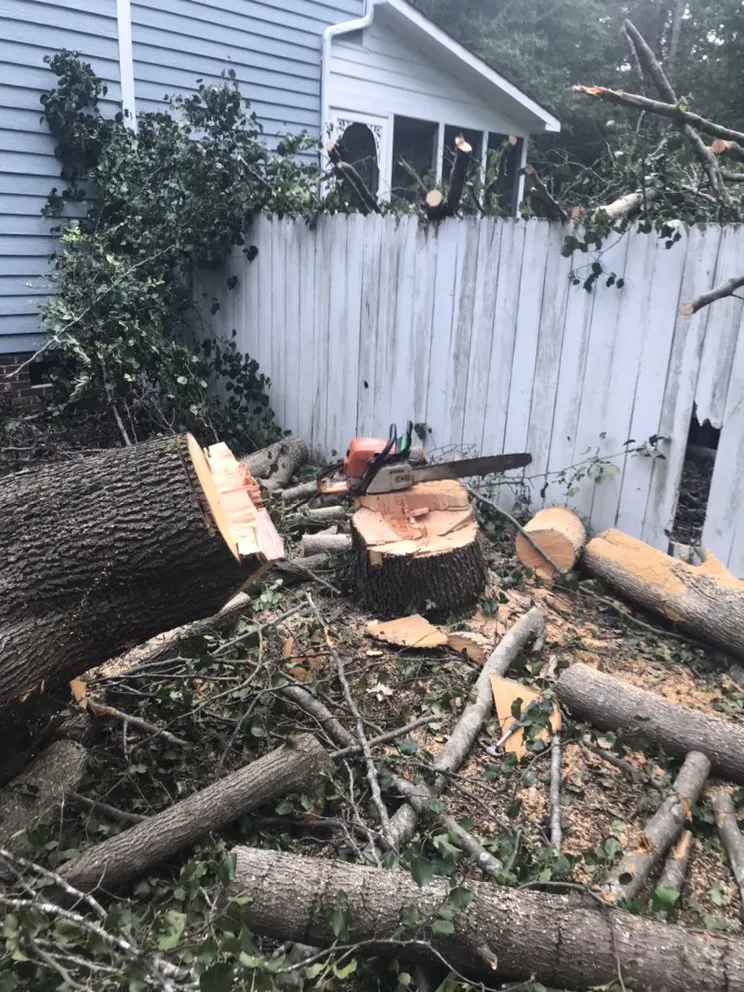 Professional residential landscaping experts serving Durham, NC - The Greenscapers