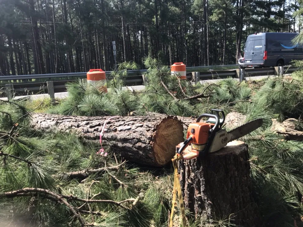 Trusted yard maintenance near you in Durham, NC by The Greenscapers