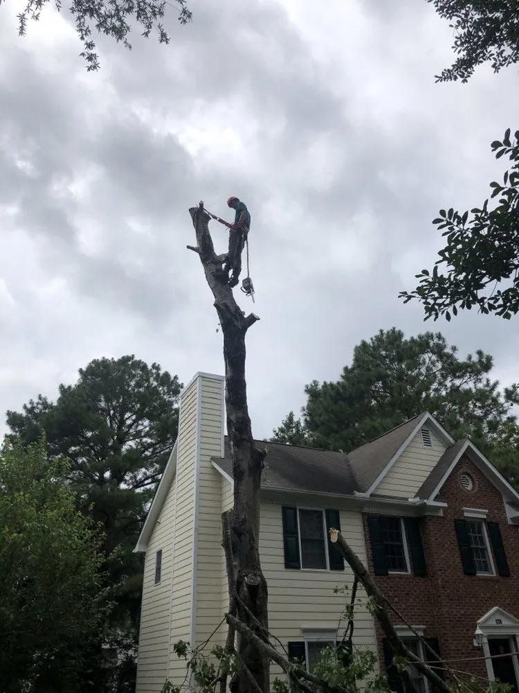 Affordable outdoor landscaping with custom design in Durham, NC by The Greenscapers