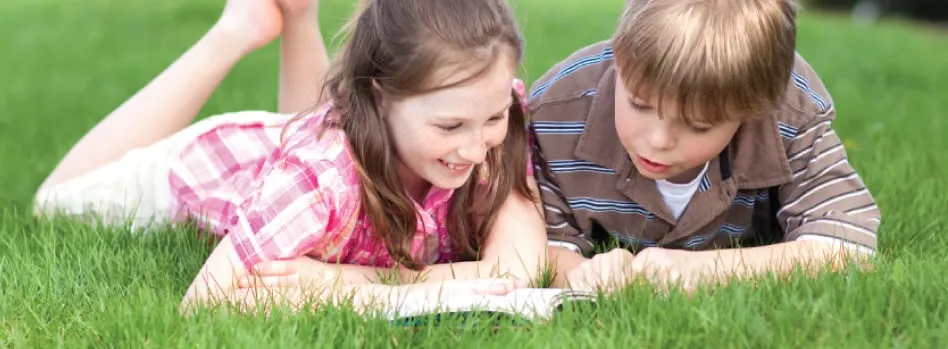 Reliable yard maintenance in Branford, CT by The Greenscaping Company