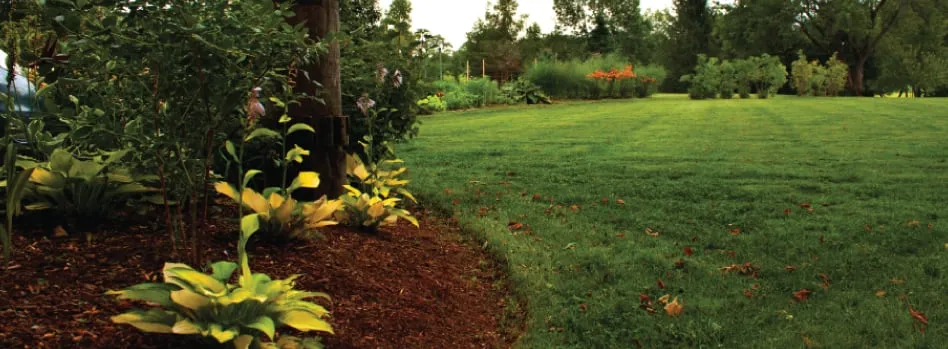 Affordable yard cleanup service for year-round maintenance across Branford, CT - The Greenscaping Company