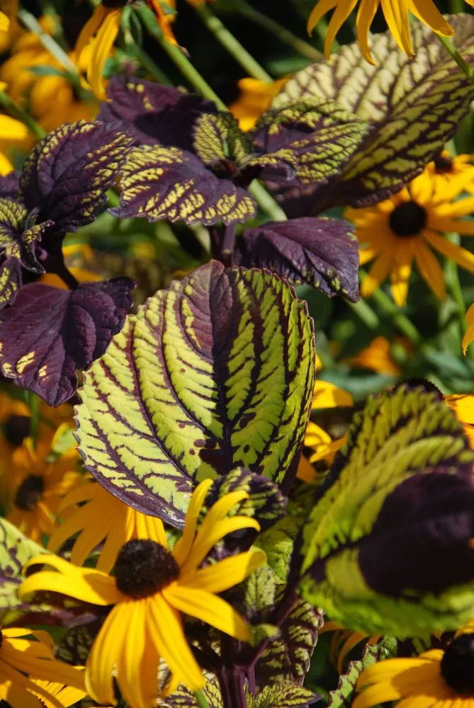 Expert landscape installation near you across Cold Spring Harbor, NY - The Greenskeeper Lawn Systems