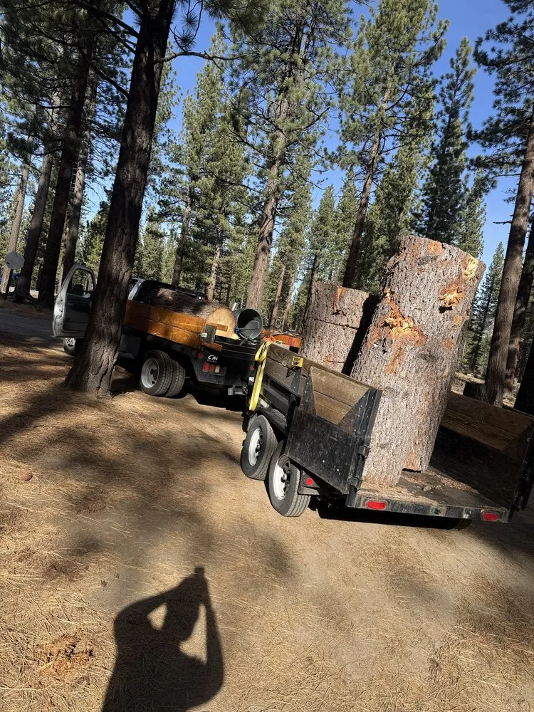 Custom landscape design for residential properties in South Lake Tahoe, CA by The Greenwaste Guy