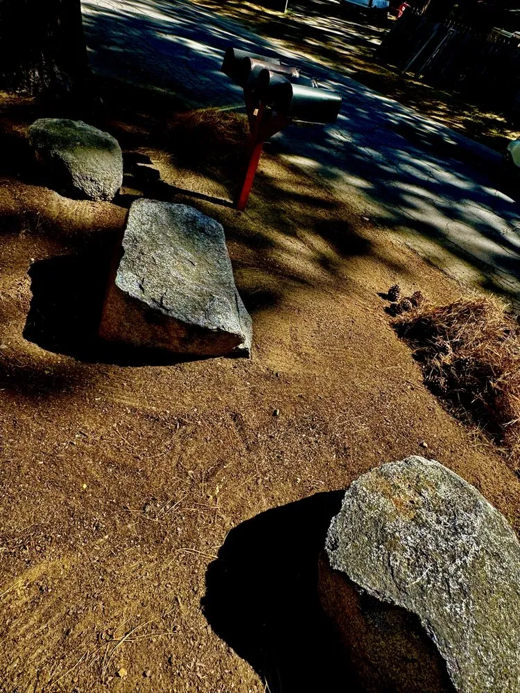 Reliable lawn care service for year-round maintenance across South Lake Tahoe, CA - The Greenwaste Guy