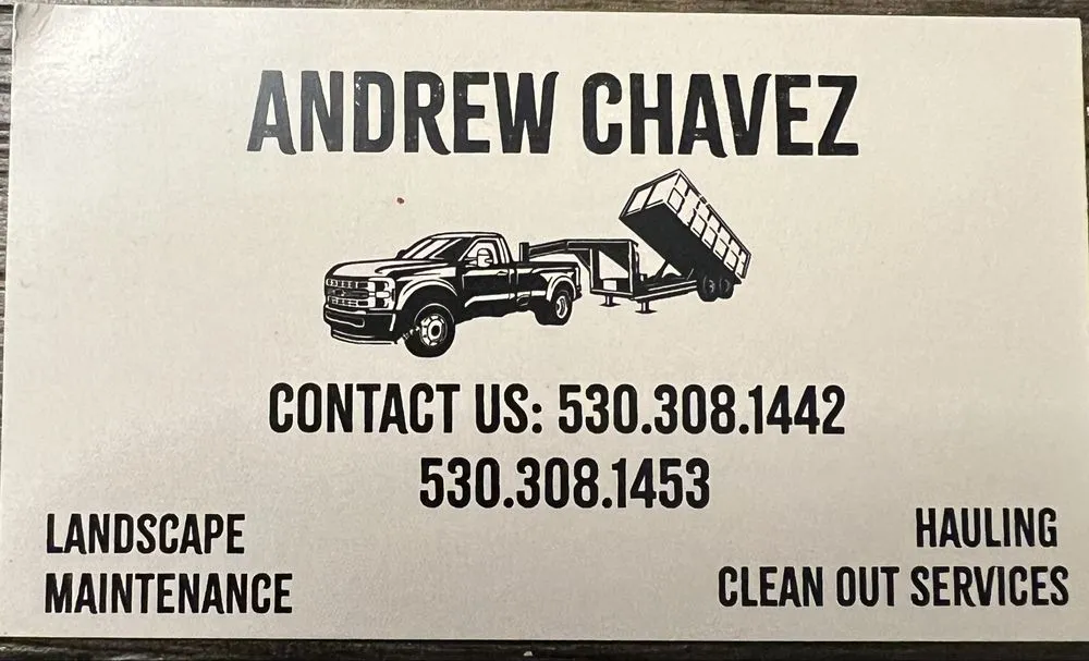 Professional yard cleanup service in South Lake Tahoe, CA - The Greenwaste Guy