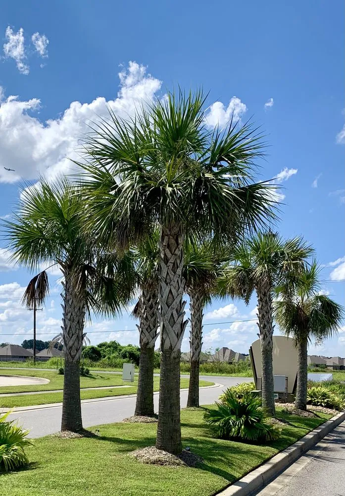 Reliable lawn care service experts serving Keller, TX - The Greenway Group Landscape & Sprinkler System