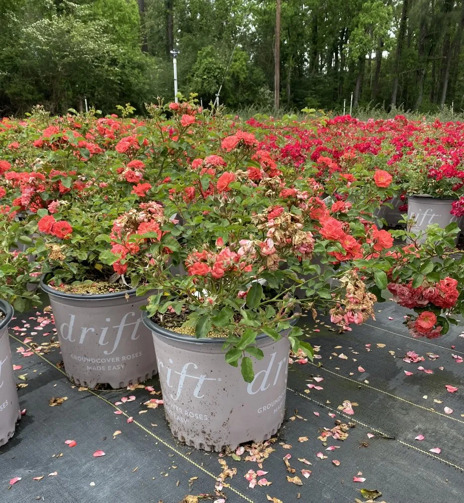 Reliable residential landscaping in Keller, TX by The Greenway Group Landscape & Sprinkler System