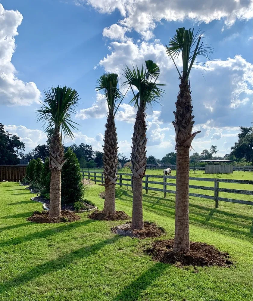 Custom garden landscaping near you across Keller, TX - The Greenway Group Landscape & Sprinkler System