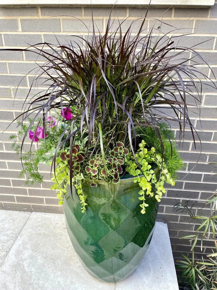 Expert residential landscaping in Keller, TX by The Greenway Group Landscape & Sprinkler System