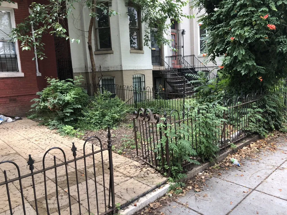 Affordable outdoor landscaping for year-round maintenance in Upper Marlboro, MD by The Ground Father Landscape Construction