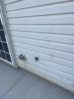 The Ground Father Landscape Construction Logo