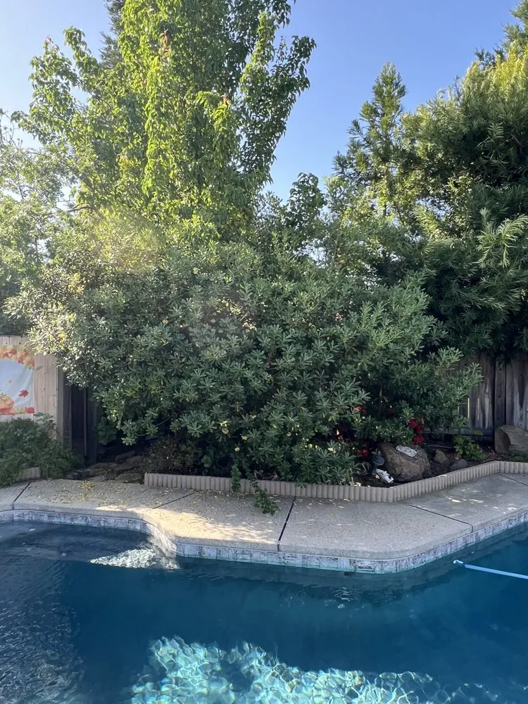 Local yard cleanup service in Sacramento, CA - The Grounds Company