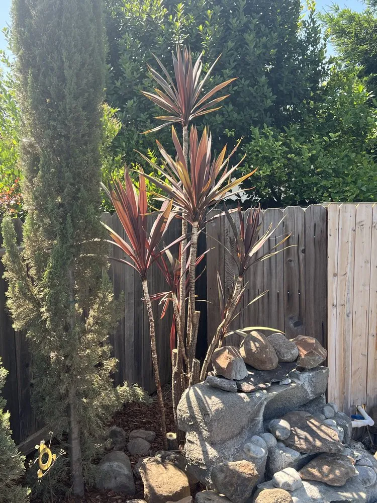 Professional outdoor landscaping for residential properties in Sacramento, CA by The Grounds Company