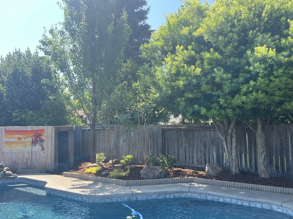 Top-rated yard cleanup service for year-round maintenance in Sacramento, CA by The Grounds Company