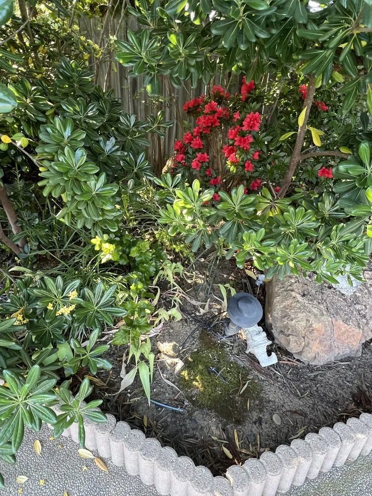 Local yard cleanup service with custom design across Sacramento, CA - The Grounds Company