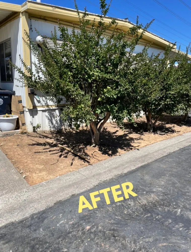 Top-rated residential landscaping for outdoor upgrades across Sacramento, CA - The Grounds Company