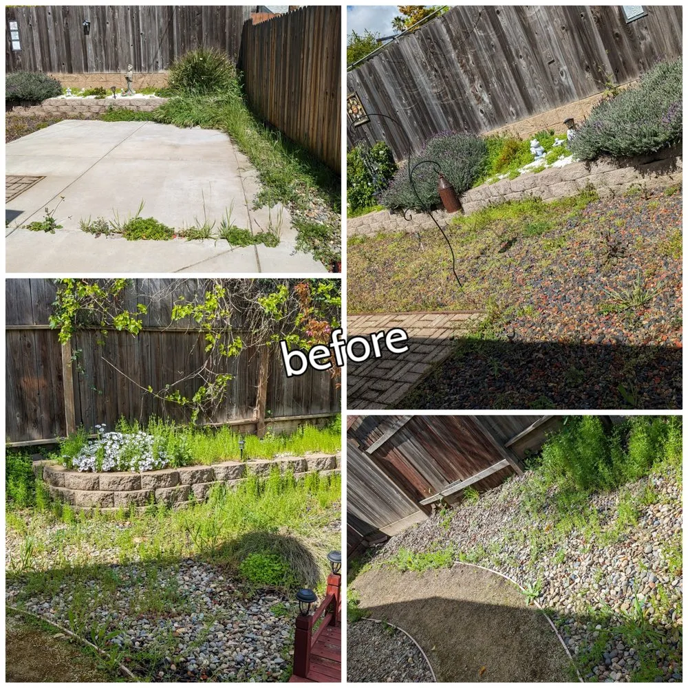 Professional yard maintenance in Sacramento, CA - The Grounds Company