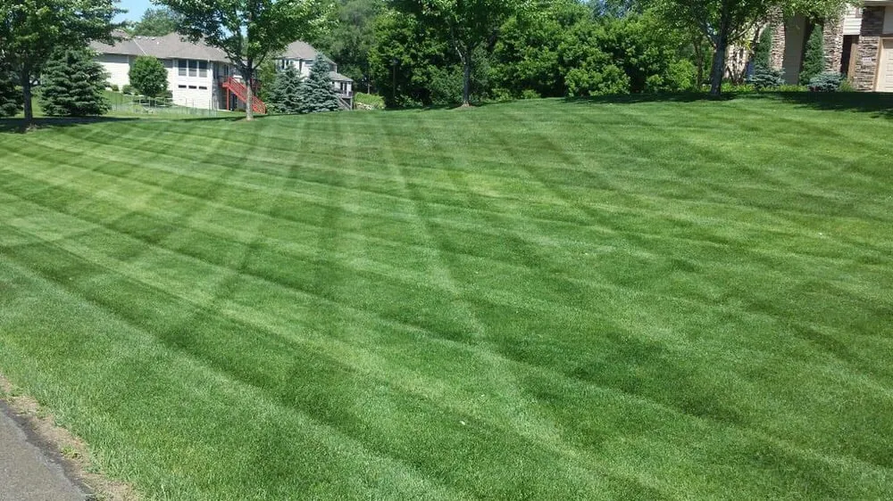 Expert lawn care service for beautiful yards in Burnsville, MN by The Grounds Crew