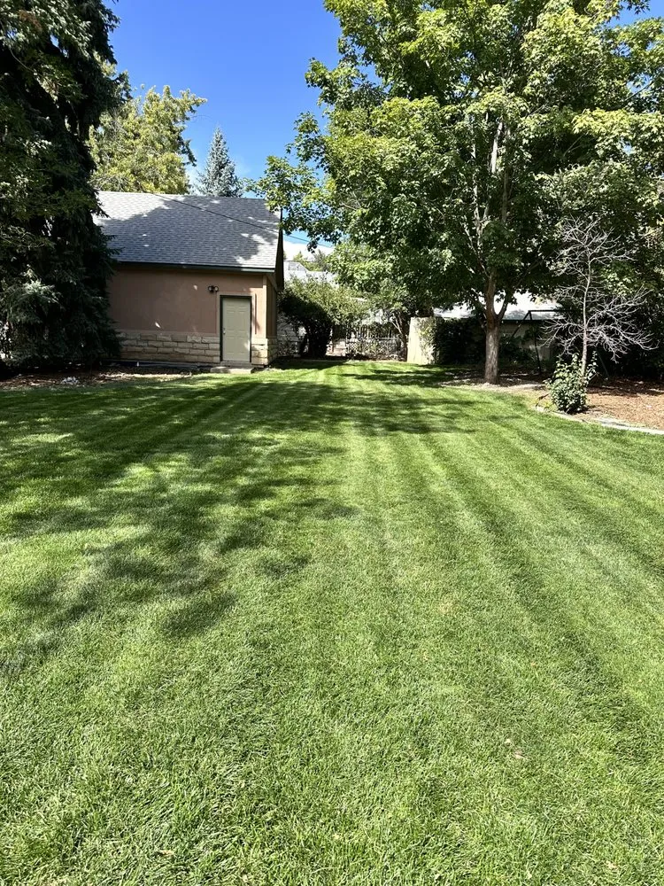 Affordable residential landscaping experts serving Loveland, CO - The Grounds Crew