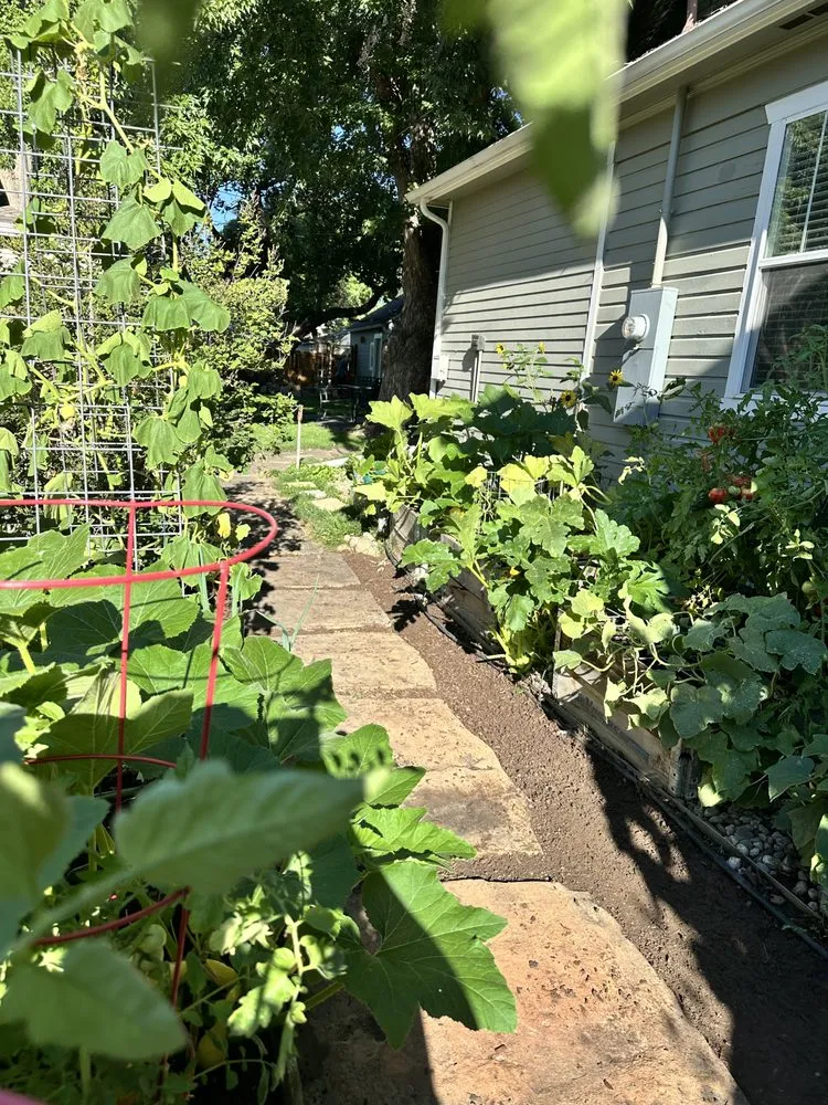 Affordable landscaping services for homes across Loveland, CO - The Grounds Crew