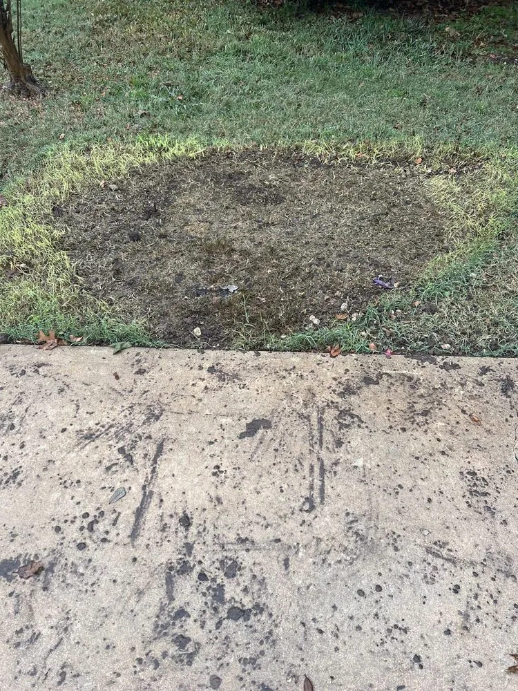 Reliable landscape design experts serving Round Rock, TX - The Grounds Crew