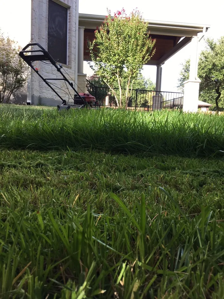 Reliable lawn care service in Round Rock, TX - The Grounds Crew