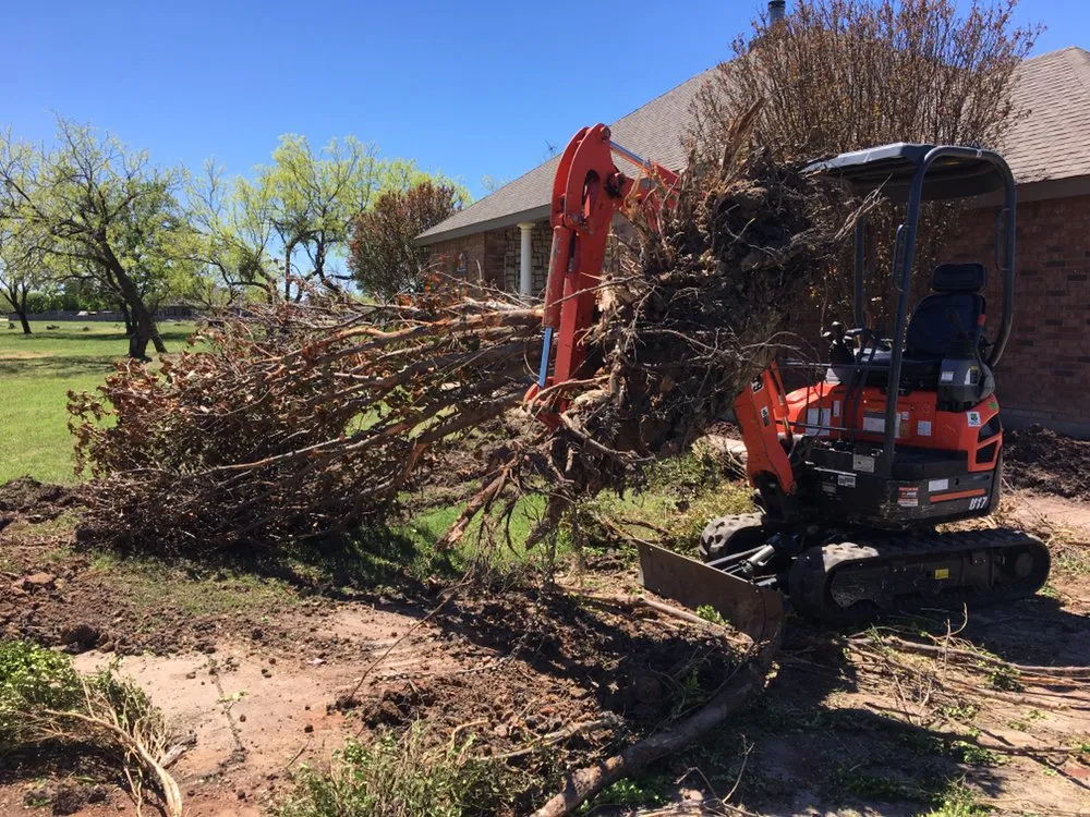 Professional residential landscaping in Abilene, TX by The Grounds Guys of Abilene