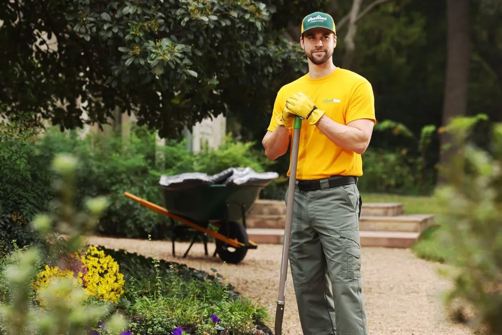 Expert outdoor landscaping experts serving Cane Ridge, TN - The Grounds Guys of Antioch, TN