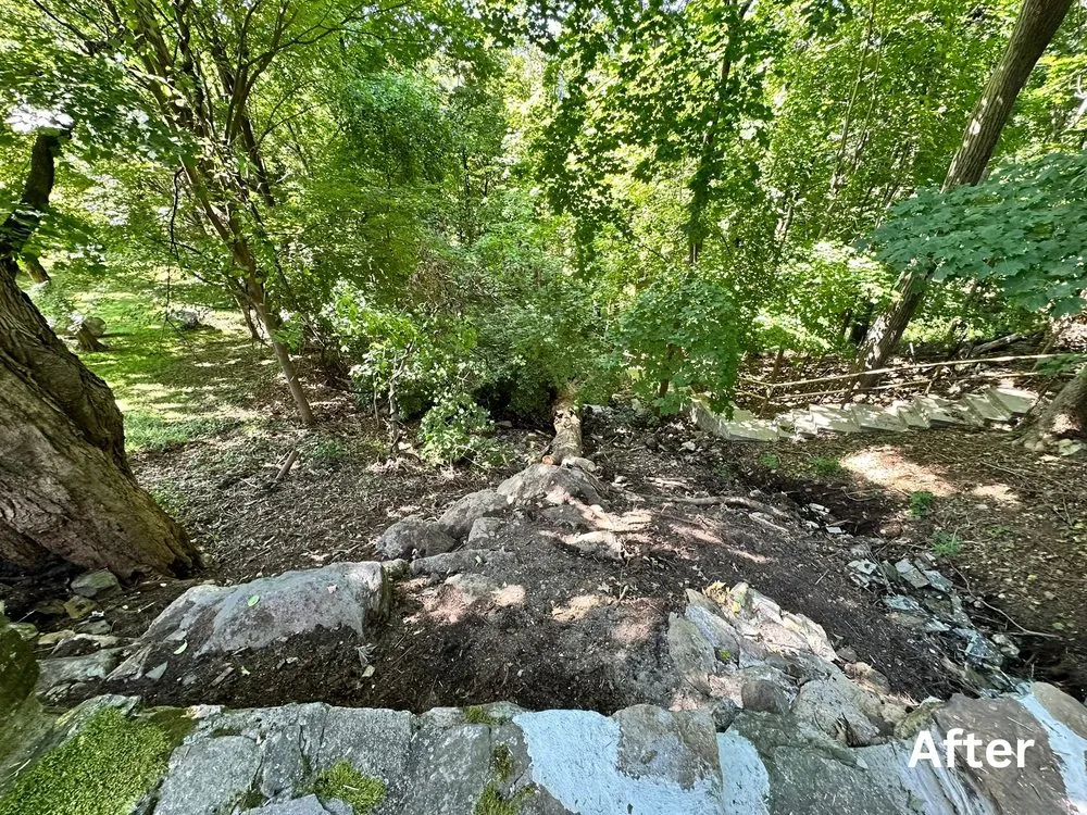 Reliable outdoor landscaping in Armonk, NY by The Grounds Guys of Armonk and Greenwich