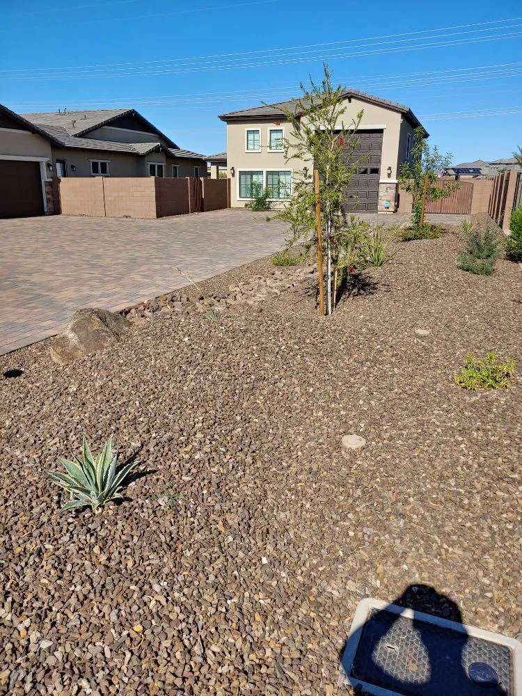 Expert lawn mowing service in Phoenix, AZ - The Grounds Guys of Arrowhead in Phoenix