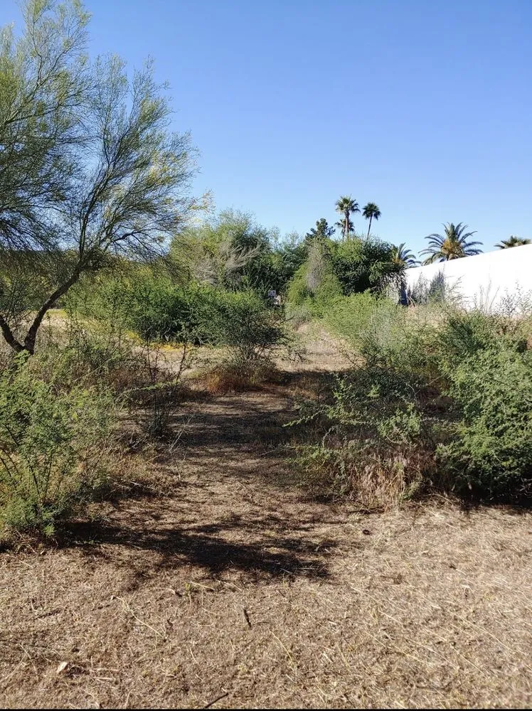 Local yard maintenance in Phoenix, AZ - The Grounds Guys of Arrowhead in Phoenix