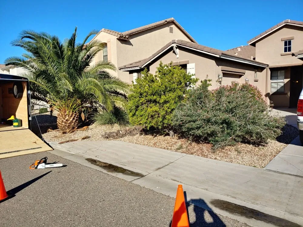 Expert yard cleanup service experts serving Phoenix, AZ - The Grounds Guys of Arrowhead in Phoenix