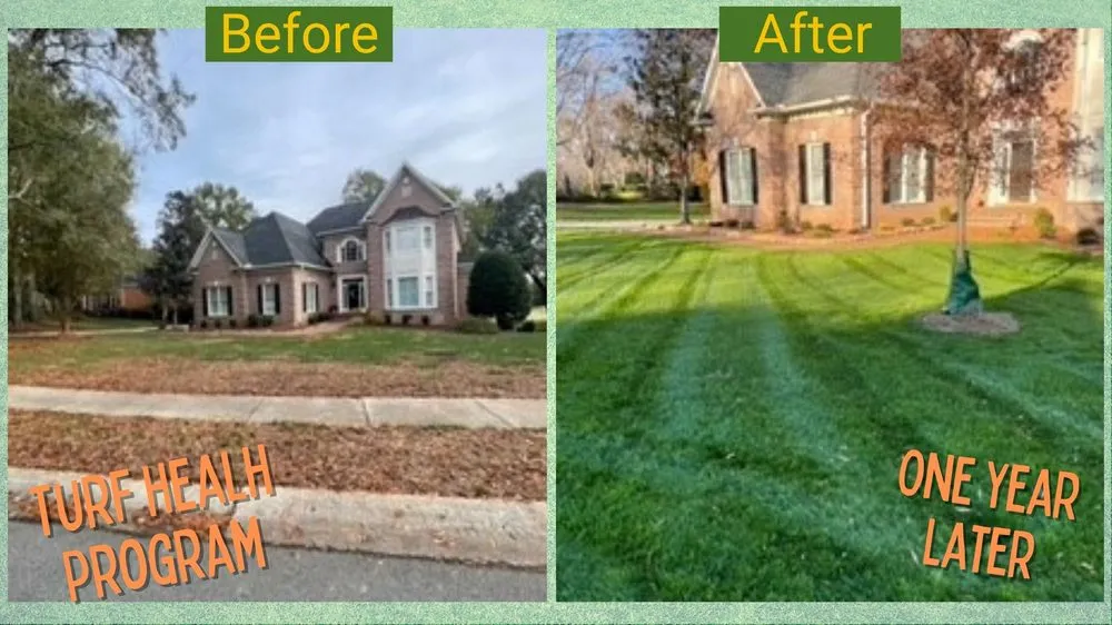 Expert yard maintenance in Charlotte, NC by The Grounds Guys of Ballantyne
