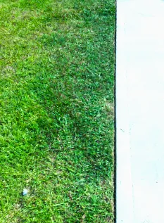 Custom residential landscaping near you in Carpentersville, IL by The Grounds Guys of Barrington and Huntley