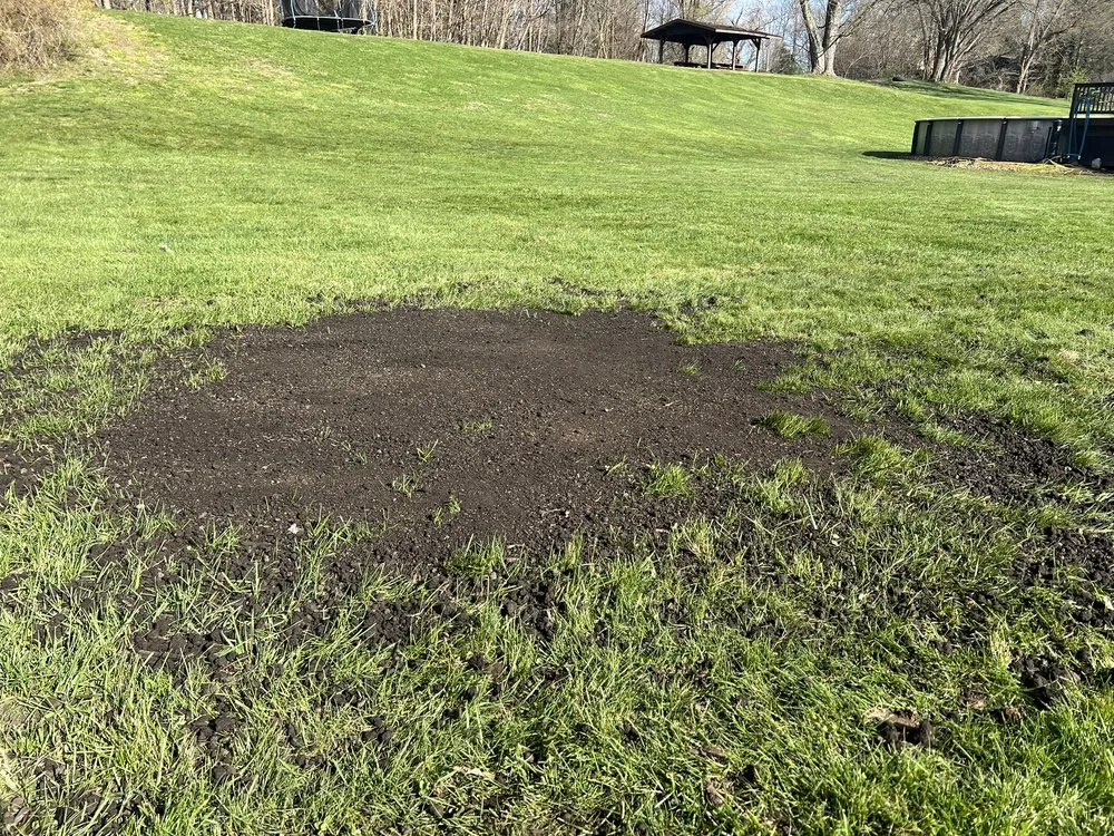 Reliable yard cleanup service for beautiful yards in Canton, OH by The Grounds Guys of Canton, OH