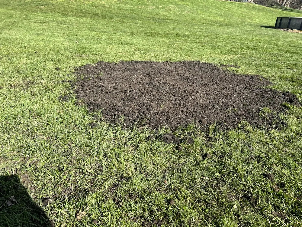 Professional lawn mowing service in Canton, OH - The Grounds Guys of Canton, OH