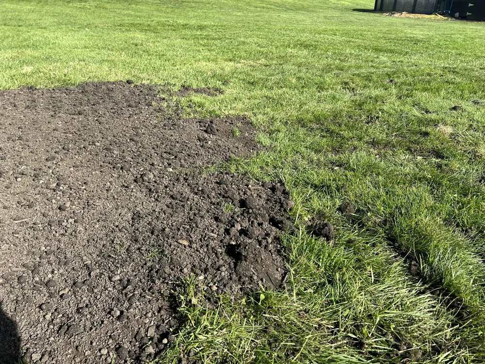 Reliable yard cleanup service in Canton, OH - The Grounds Guys of Canton, OH