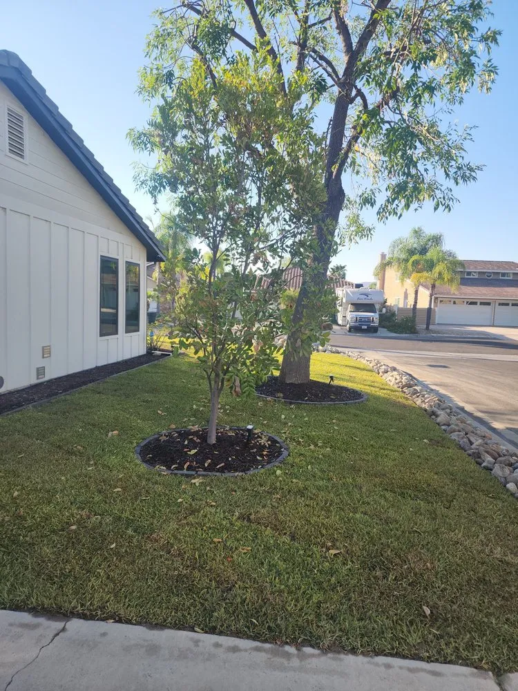 Local residential landscaping for year-round maintenance in Canyon Lake, CA by The Grounds Guys of Canyon Lake