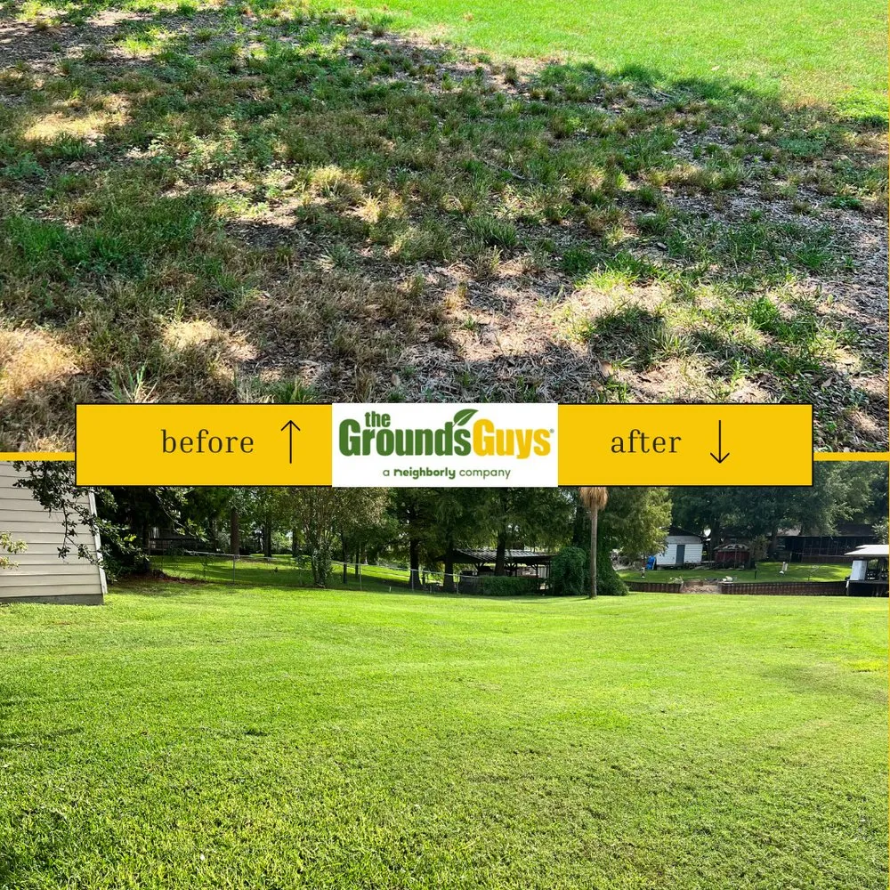 Reliable lawn mowing service experts serving Kemp, TX - The Grounds Guys of Cedar Creek Lake