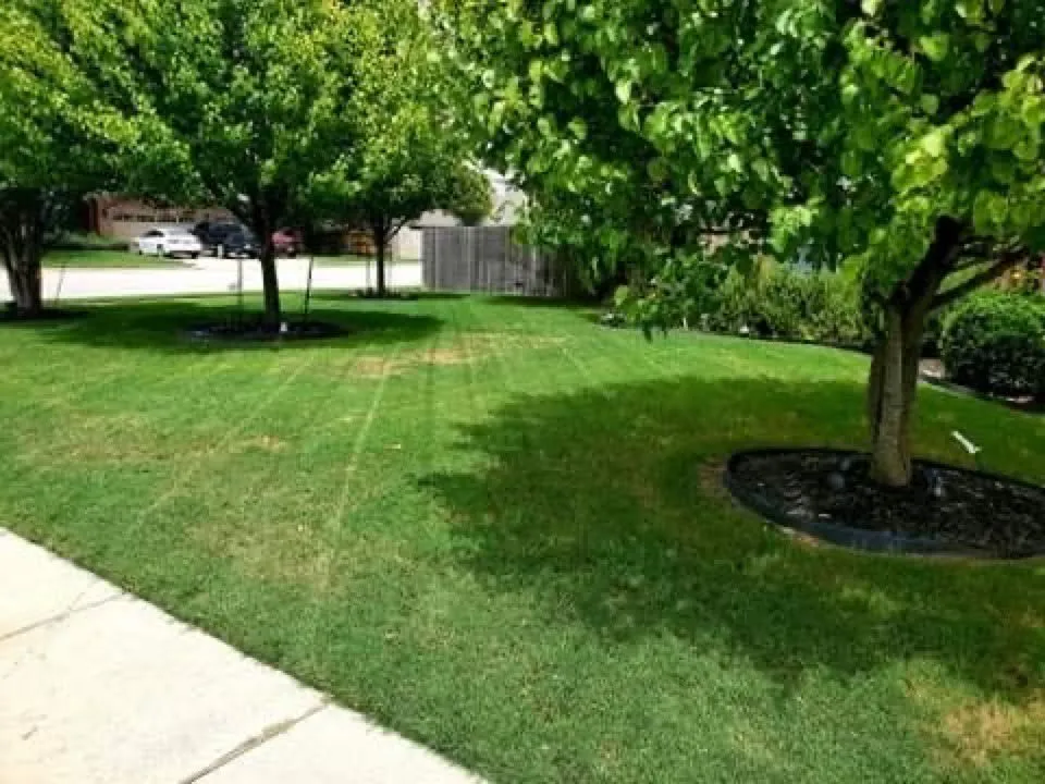 Professional garden landscaping in Leander, TX - The Grounds Guys of Cedar Park