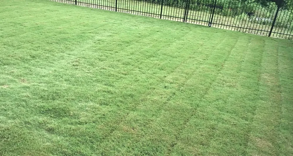 Top-rated landscape design experts serving Leander, TX - The Grounds Guys of Cedar Park