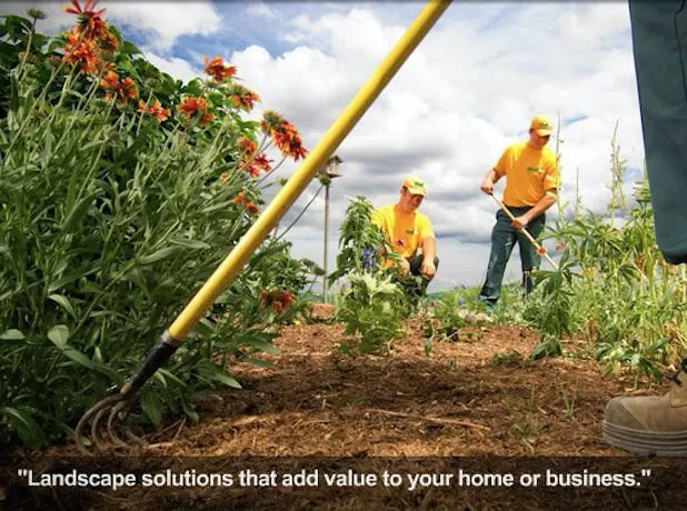 Professional yard maintenance experts serving Columbia, SC - The Grounds Guys of Columbia