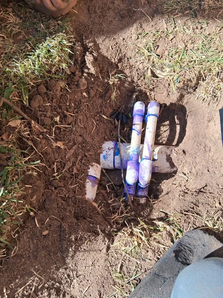 Professional landscape design in Dallas, TX by The Grounds Guys of Dallas, Park Cities & Lakewood