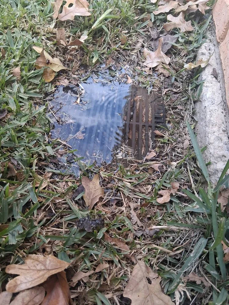 Reliable residential landscaping in Dallas, TX by The Grounds Guys of Dallas, Park Cities & Lakewood