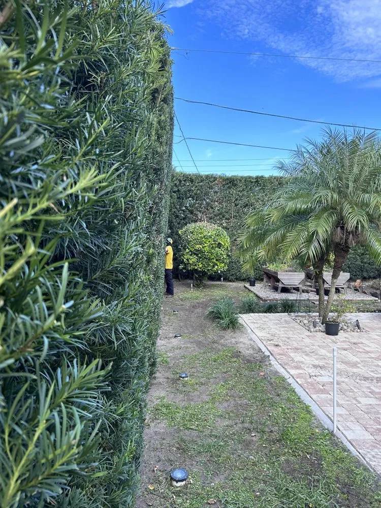 Trusted landscape installation for outdoor upgrades in Deland, FL by The Grounds Guys of Deland