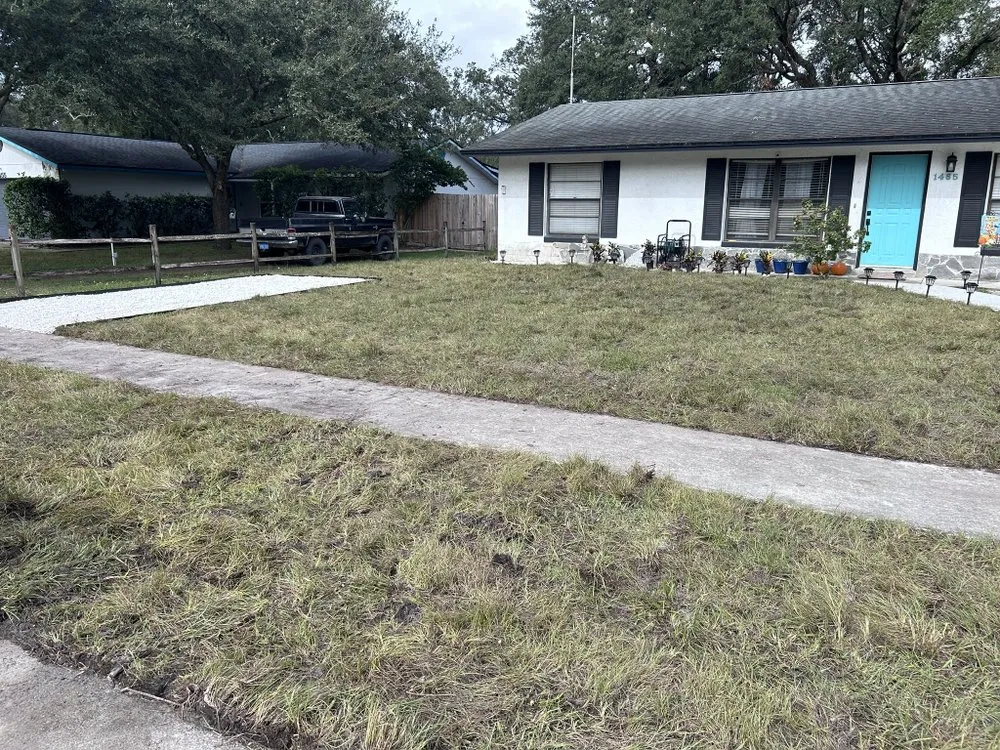 Professional lawn care service experts serving Deland, FL - The Grounds Guys of Deland