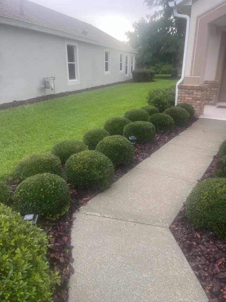 Professional landscape installation in Deland, FL - The Grounds Guys of Deland