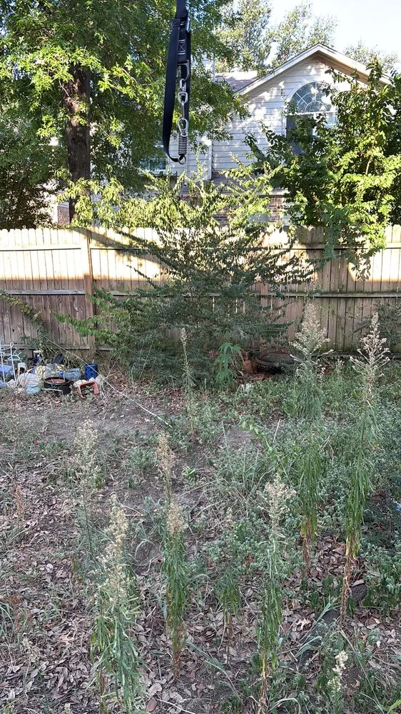 Local landscape installation in Flower Mound, TX by The Grounds Guys of Flower Mound - Highland Village