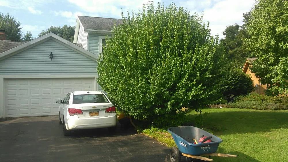 Reliable landscaping services in Rochester, NY - The Grounds Guys Of Greece