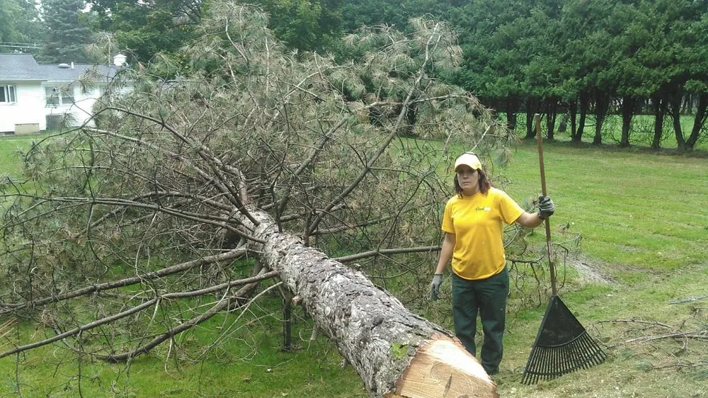 Expert outdoor landscaping near you in Rochester, NY by The Grounds Guys Of Greece